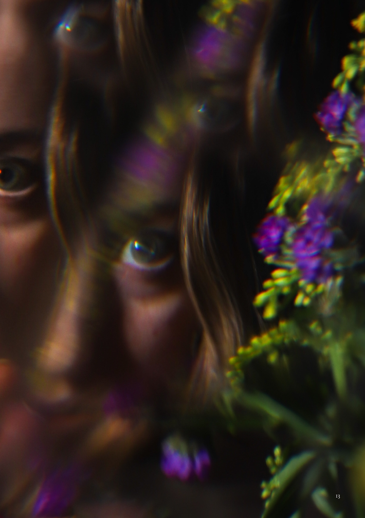 King Arthur refracted portrait with florals