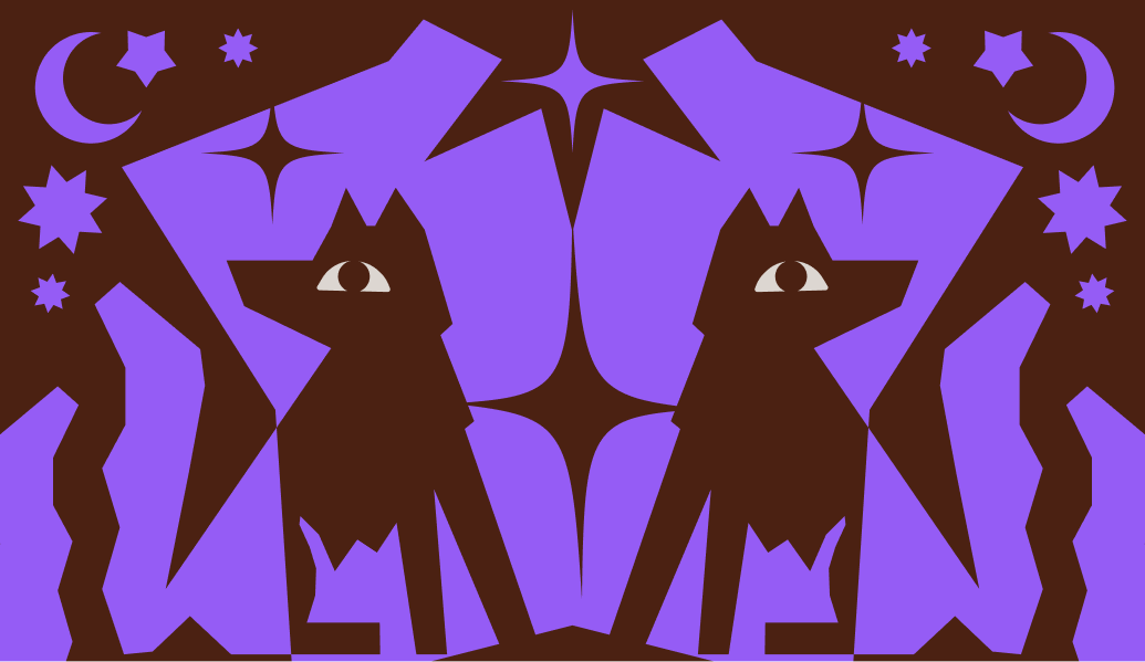 Echo Collective project cover
